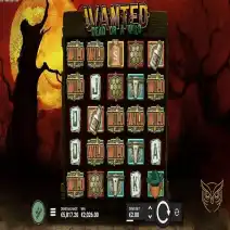 Wanted Dead or a Wild Play